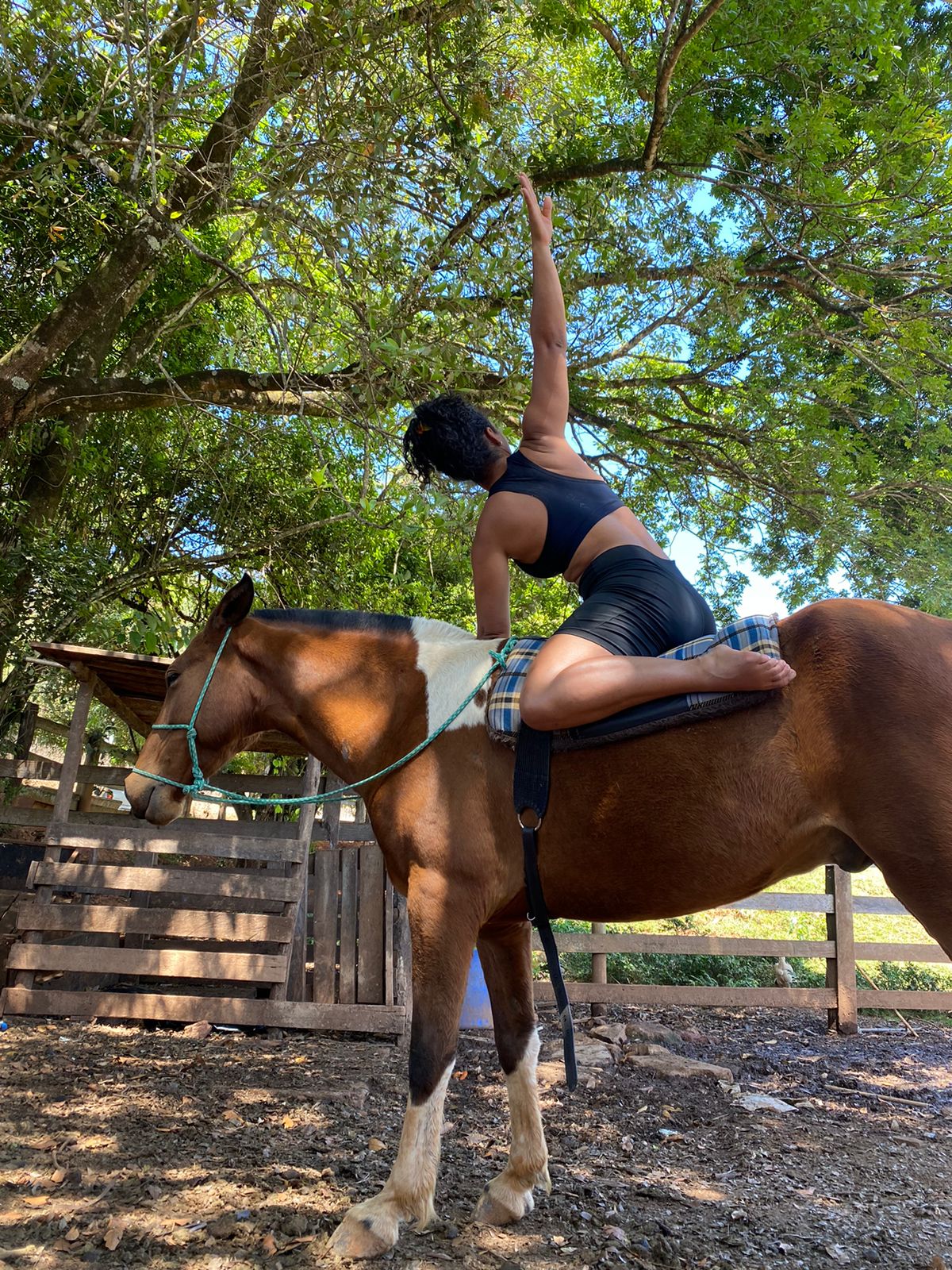 WhatsApp Image 2026-02-27 at 19.42.27 (3).jpeg